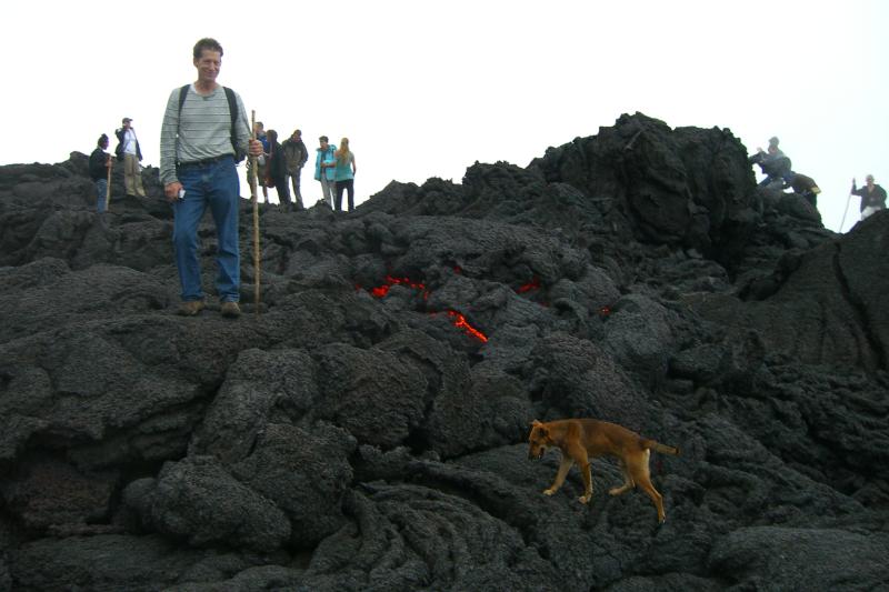 Volcan Pacaya-m.JPG - This scrawny dog followed us from the village. Here we are hiking over the flowing lava. You can hear and feel the molten rock as it flows under your feet. It was scary beyond description.